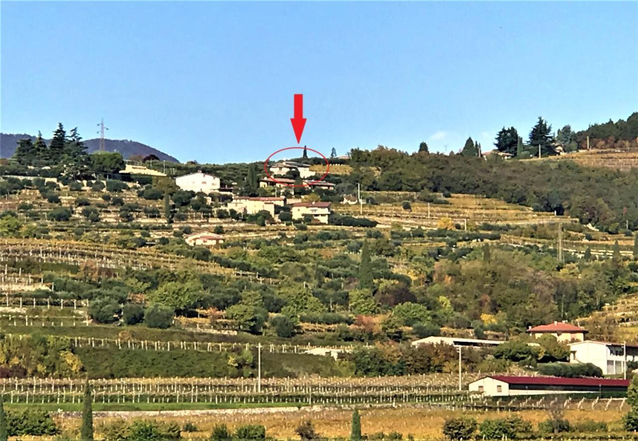 Valpolicella Hills Daire Negrar Dış mekan fotoğraf