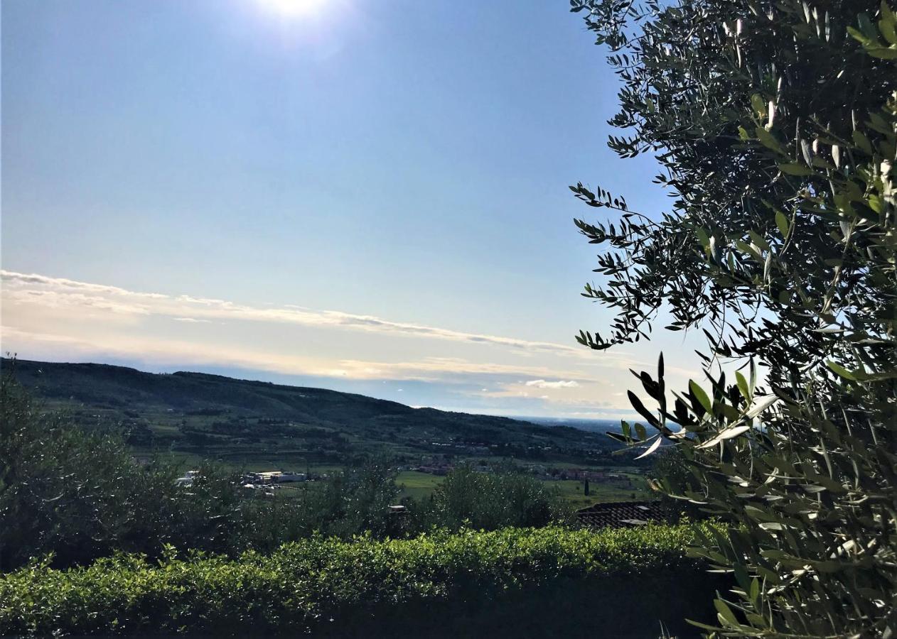 Valpolicella Hills Daire Negrar Dış mekan fotoğraf