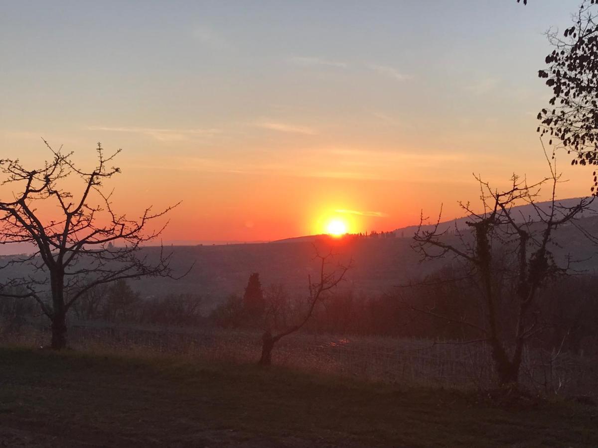 Valpolicella Hills Daire Negrar Dış mekan fotoğraf