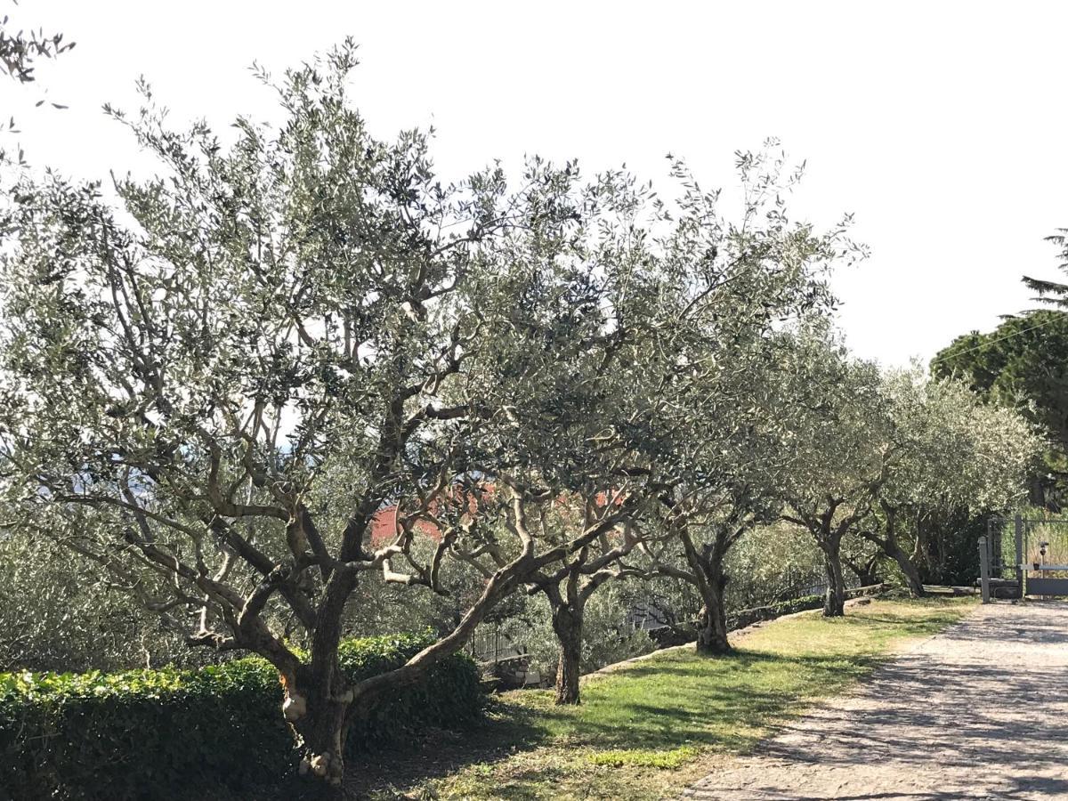 Valpolicella Hills Daire Negrar Dış mekan fotoğraf