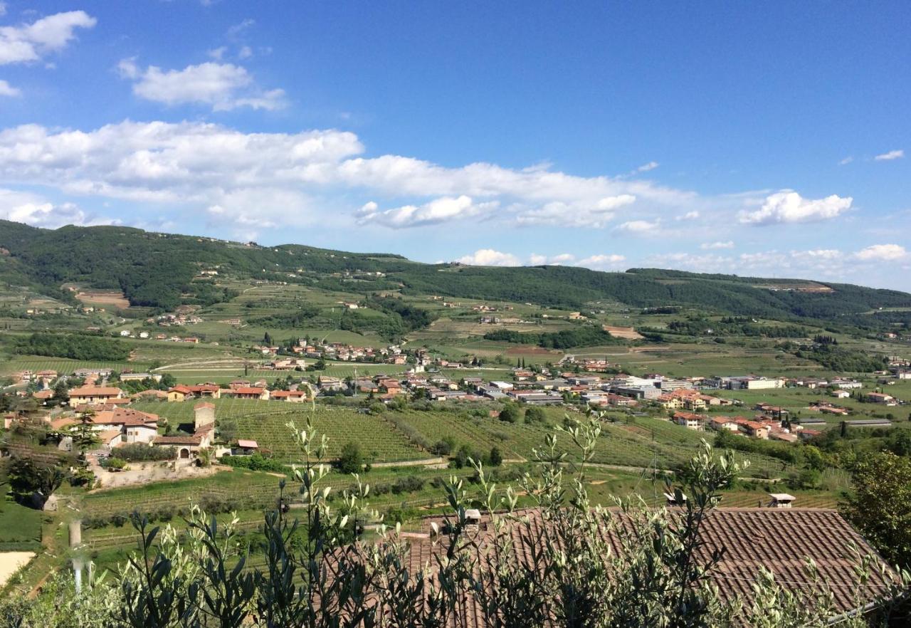 Valpolicella Hills Daire Negrar Dış mekan fotoğraf