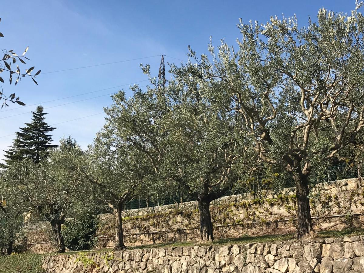 Valpolicella Hills Daire Negrar Dış mekan fotoğraf
