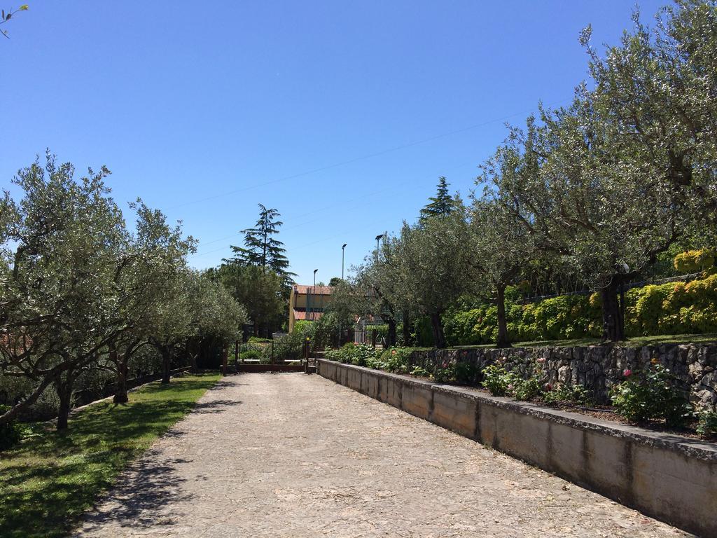 Valpolicella Hills Daire Negrar Dış mekan fotoğraf